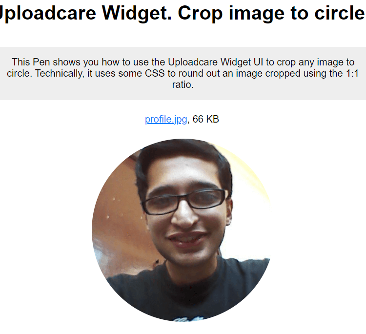 Advanced UploadCare Image Cropper to Circle Web App in Browser (Full Source Code)